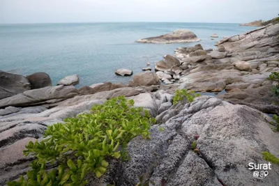 The Ocean Phangan Homestay – Photos 15